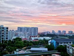 Blk 451B West Terra @ Bukit Batok (Bukit Batok), HDB 5 Rooms #558047241